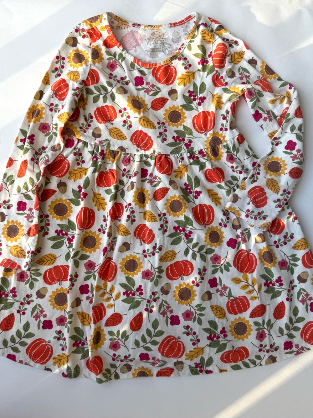 The Children's Place Cream Floral & Autumn Print Long Sleeve Dress